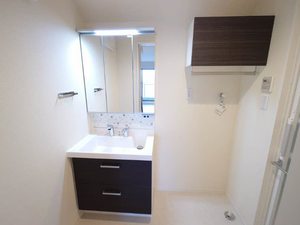 ラヴィベール国玉 0301号-5