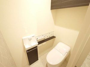 ラヴィベール国玉 0301号-6