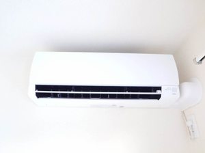 ラヴィベール国玉 0301号-10