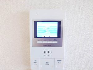 ラヴィベール国玉 0301号-11