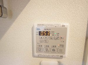 ラヴィベール国玉 0301号-12