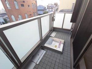 ラヴィベール国玉 0301号-13