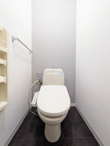 マインドハイツ辻井 B102号-10