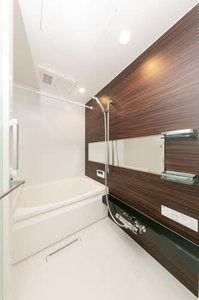 アンビシア 0103号-8