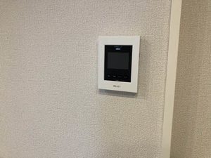 アンビエラ 0101号-8