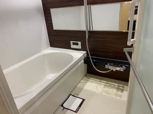 シャーメゾン丸の内 0303号-10