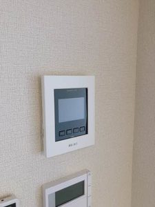 カーサグラス　シュデステ C105号-10