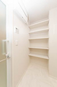 Ｓｈａｍａｉｓｏｎ　Ｌａ　Ｇｌｙｃｉｎｅ 0103号-8