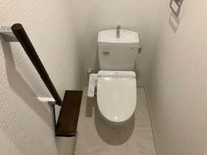 Ｓｈａｍａｉｓｏｎ　Ｌａ　Ｇｌｙｃｉｎｅ 0203号-5