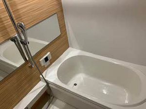 Ｓｈａｍａｉｓｏｎ　Ｌａ　Ｇｌｙｃｉｎｅ 0203号-7