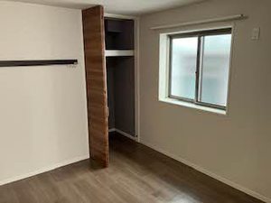 Ｓｈａｍａｉｓｏｎ　Ｌａ　Ｇｌｙｃｉｎｅ 0203号-8