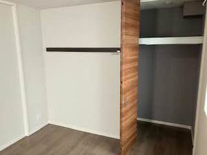 Ｓｈａｍａｉｓｏｎ　Ｌａ　Ｇｌｙｃｉｎｅ 0203号-9