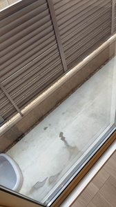 シェーンブルンⅡ 0106号-14