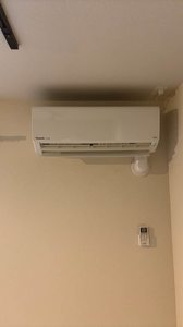 シェーンブルンⅡ 0106号-15