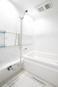 Ｓｈａ　Ｍａｉｓｏｎ　Ｌａｐｉｓ 0302号-8