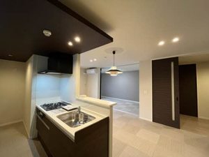 シャーメゾン祠西洞院二条 0201号-3