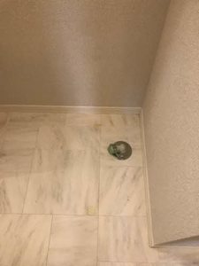 シャーメゾン東寺道 0302号-11