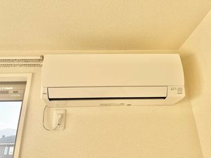 ｃａｓａ　ｃｏｎｆｏｒｔ 0202号-9