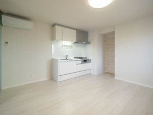 ラフィーネ下鴨 0302号-10