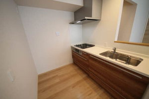 ＮＴ　Ｍａｉｓｏｎ　Ⅱ 0303号-3