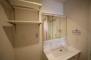 ＮＴ　Ｍａｉｓｏｎ　Ⅱ 0303号-9