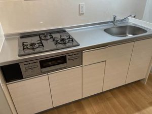 ピュアレイ 0101号-5