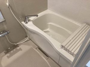 ピュアレイ 0101号-6