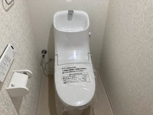 ピュアレイ 0101号-7