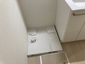 ピュアレイ 0101号-10