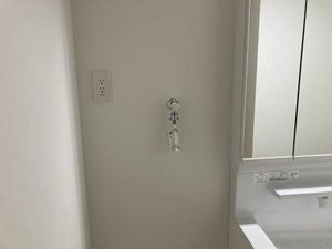 ピュアレイ 0101号-11