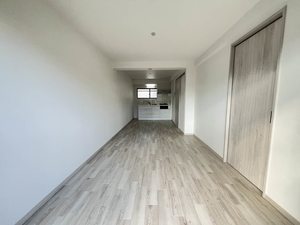 ピュアレイ 0302号-2