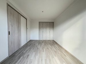 ピュアレイ 0302号-4