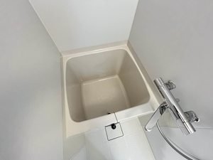 ピュアレイ 0302号-6