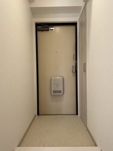 ピュアレイ 0303号-9