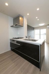 シャーメゾン　エクセル 0201号-9