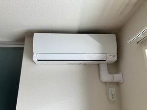 シャーメゾン　まほろば 0203号-12