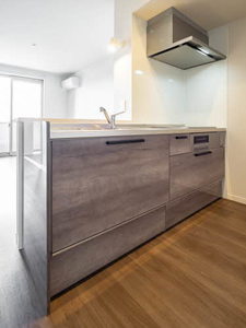 カーサグラス　オエステ B202号-8