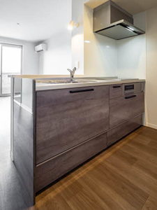 カーサグラス オエステ B205号-8