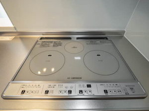 カーサグラス オエステ B205号-9