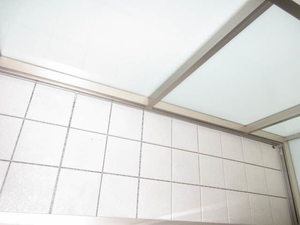 プルニエール 0201号-11