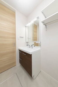 サンフォレスト菅原 0101号-9