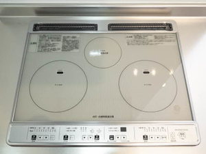 ザ フジイ ガーデンC・D D102号-9