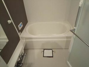 モナヴィラージュ 0202号-5