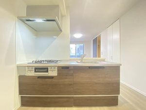 セルディーナ 0103号-5