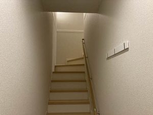 セルディーナ 0203号-12