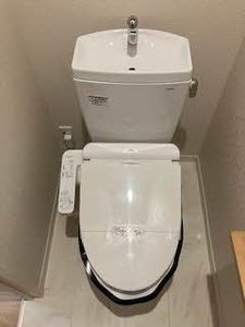 ＳｈａＭａｉｓｏｎＳＵＺＡＫＵ 0202号-8