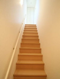 ＳｈａＭａｉｓｏｎ　Ｏｏｂｅ 0201号-4