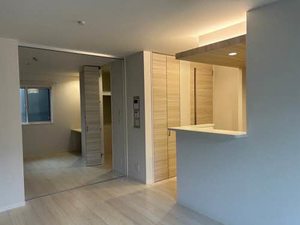 Ｓｈａｍａｉｓｏｎ　Ｃｉｅｌ 0101号-2