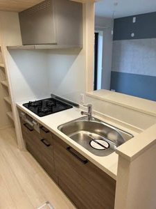 Ｓｈａｍａｉｓｏｎ　Ｃｉｅｌ 0101号-4