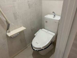 Ｓｈａｍａｉｓｏｎ　Ｃｉｅｌ 0101号-7